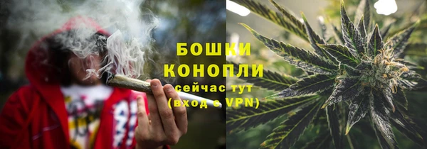 стафф Дмитровск