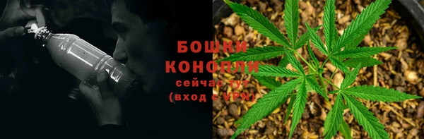 стафф Дмитровск