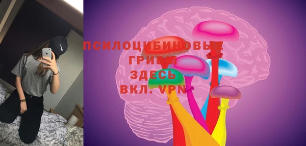 mdpv Дмитриев