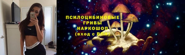 mdpv Дмитриев