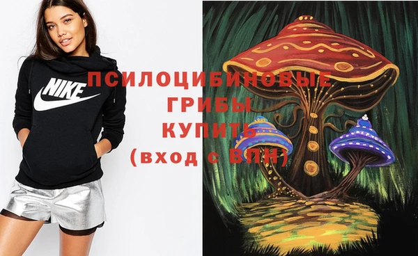 mdpv Дмитриев