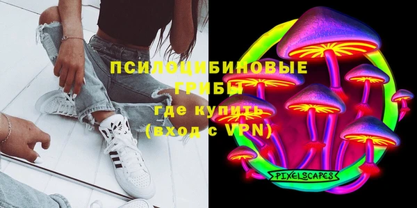 индика Тобольск