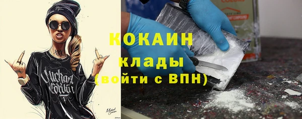 стафф Дмитровск