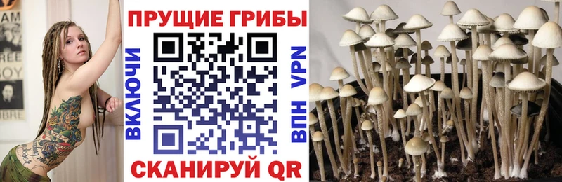 Галлюциногенные грибы Magic Shrooms Городовиковск